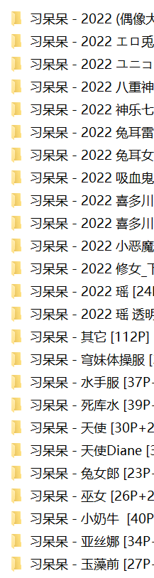 2022习呆呆合集25套 1.34g